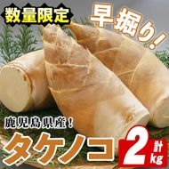 ＜先行予約受付中！2027年3月以降順次発送予定＞鹿児島県産！早掘りタケノコ(2kg) 国産 野菜 筍 たけのこ 竹 春 野菜 旬【鹿児島いずみ農業協同組合】akn018-23