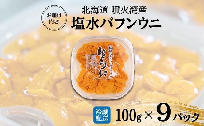 北海道 噴火湾産 塩水 バフンウニ 100g 9パック 計900g うに ウニ 雲丹 海鮮 海の幸 魚介類 ウニ丼 お寿司 濃厚 無添加 産地直送 お取り寄せ 山村水産 送料無料 【55250874】