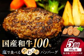 塩で食べるやわらかハンバーグ（デミグラスソース付）　NH00040