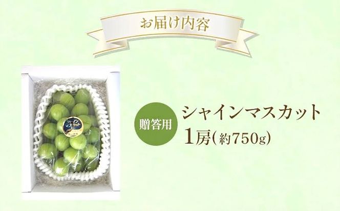 ぶどう 2027年 先行受付 贈答用 シャインマスカット 1房 約750g フルーツ 果物 岡山 赤磐市