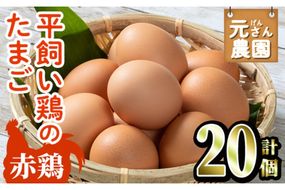 元さん農園 平飼い赤鶏のたまご (計20個・10個×2P) 元さん農園 卵 玉子 卵かけご飯 玉子焼き 平飼い 鶏 鶏卵 養鶏場直送 朝採れ 新鮮 大分県 佐伯市 【GE001】【 (株)海九】