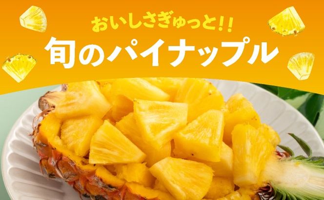 【予約受付】【定期便】石垣島産 パイナップル 3回 定期 3種 計6玉【2026年 5月頃・6月・7月頃お届け】 ふるさと納税 パイナップル パイン フルーツ 果物 果実 定期便 定期 3回 3か月 沖縄県 石垣市 石垣島 産地直送 ふるさと 人気 KP-017-t03