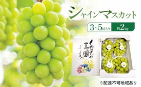 ぶどう 2026年 先行予約 シャインマスカット (3～5房) 約2kg 岡山県 赤磐市 ブドウ 葡萄 果物 フルーツ