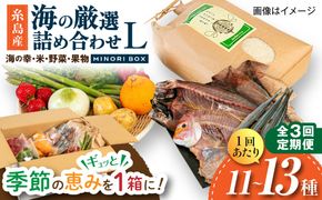 【全3回定期便】糸島産 魚 米 野菜 果物 厳選詰め合わせ MINORI BOX Lサイズ 糸島市 / emma.Inc / 米 魚 野菜 果物 詰め合わせ[AOP028]