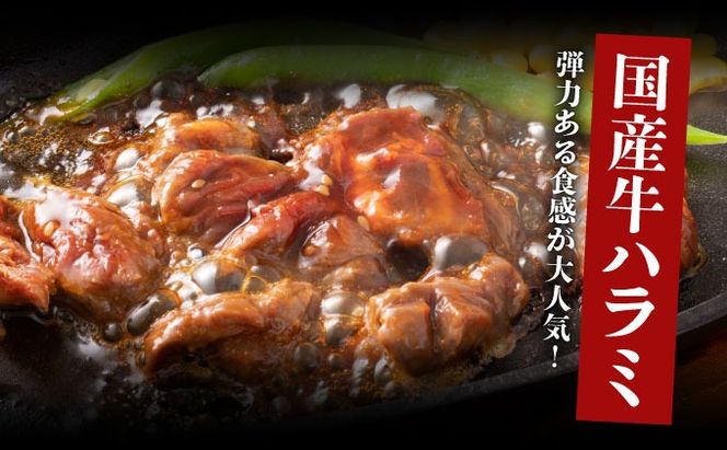 ヤマジュウの特製タレ漬け！牛ハラミ肉５００ｇ　yj061