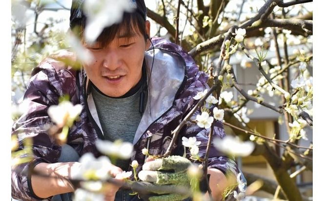 【きよとうファーム】果樹園の詰合せ！梨ワイン＆パウンドケーキ (岡山県産)【KF-S006-03】