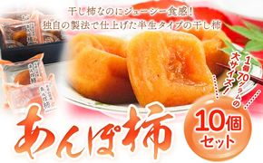 あんぽ柿 大10個セット 紀の里農業協同組合《90日以内に出荷予定(土日祝除く)》和歌山県 紀の川市 柿 果物 フルーツ---wsk_jakanpo_90d_22_12000_10c---