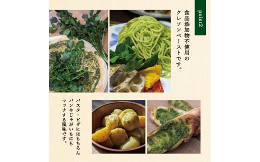 富士吉田市のクレソンペーストセット　クレソン 300g ペースト 2本セット 野菜 サラダ 食品添加物不使用 山梨 富士吉田