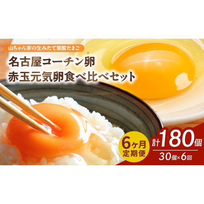 ymqszy6ցzyRƂ݂̐ėt_܂zÉR[`EԋʌC Hה׃Zbgie15 v30jm132Y10-Tn6 R ݂ t_܂ ÉR[` ԋʌC Hה Zbg e 15 v 30  n