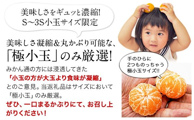  訳あり みかん 小玉みかん くまもと小玉みかん 2kg 5kg 10kg 秋 旬 不揃い 傷 ご家庭用 SDGs 小玉 たっぷり 熊本県 産 S-3Sサイズ フルーツ 旬 柑橘 熊本県産 温州みかん《9月下旬-12月下旬頃出荷》 ---gkt_lcl_772_2kg---