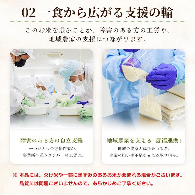 【令和8年度産】 米（コシヒカリ） 2合（300g) ×5 お米 精米 こしひかり 2合 特別栽培 真空包装 真空パック 使い切り SDGs 備蓄 こめ コメ お米 おこめ ライス ke-0062