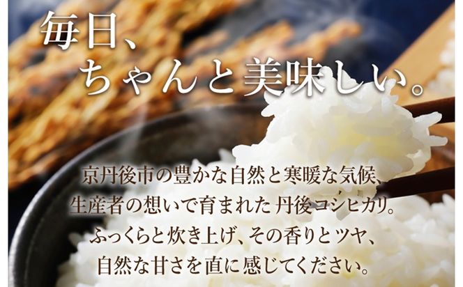 【先行予約】2026年産　京丹後産コシヒカリ 精米10kg　3回定期便 GB00011