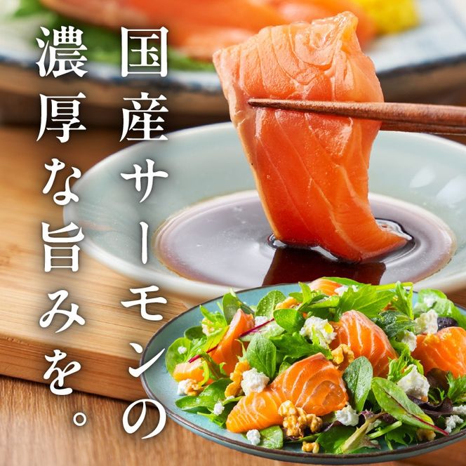 G5603 シャインサーモン 800g（400g×2P）【国産 小分け さーもん 鮭