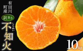 不知火(しらぬい) オレンジ みかん 訳あり 10kg   	CE012