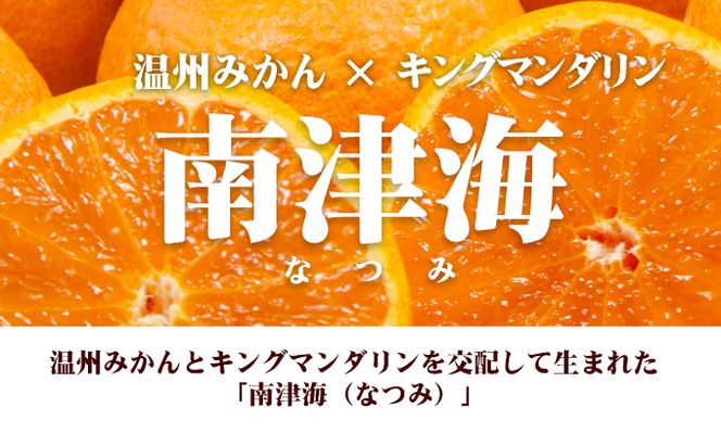 【 小豆島 】 南津海 （ なつみ ） みかん 約5kg 柑橘 ミカン 果物 フルーツ  越冬 完熟 くだもの 国産 香川 香川県 土庄 土庄町