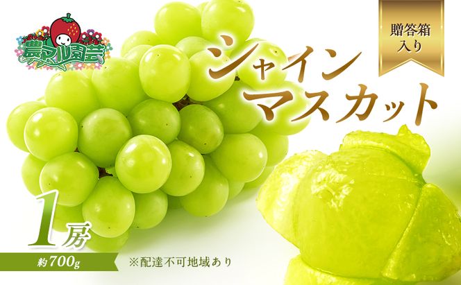 ぶどう 2026年 先行予約 シャイン マスカット 1房 約700g 贈答箱 ブドウ 葡萄 フルーツ 果物 岡山 赤磐市産 農マル園芸 あかいわ農園 果物類 シャインマスカット 