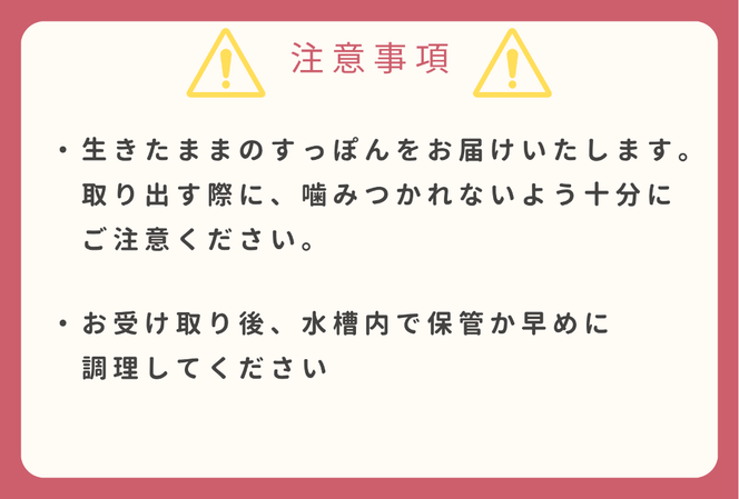 【活きたまま直送】天然すっぽん（活き）1㎏〜1.3㎏ 1箱 すっぽん 天然すっぽん 産地直送 すっぽん料理 すっぽん鍋 活きたまま 滋養強壮 贈答用 ギフト 浜坂産 兵庫県