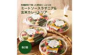 有機肥料で育った野菜たっぷりのミートソースラザニア&玄米カレードリア各2個【アグリCATS】_HA2084 野菜 たっぷり ミートソース ラザニア カレードリア 惣菜 美味しい 福岡県宗像市 宗像市 福岡 宗像