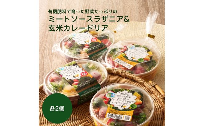 有機肥料で育った野菜たっぷりのミートソースラザニア&玄米カレードリア各2個【アグリCATS】_HA2084 野菜 たっぷり ミートソース ラザニア カレードリア 惣菜 美味しい 福岡県宗像市 宗像市 福岡 宗像