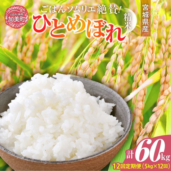 【12回定期便】 精米 令和7年産 宮城県産ひとめぼれ 計60kg (5kg×12回) [菅原商店 宮城県 加美町 ]  |sg-hb05-t12-r7