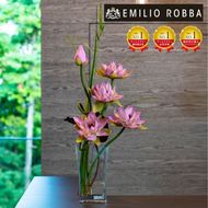 アートフラワー エミリオ・ロバ ロータスpk-5L TTNTP22300