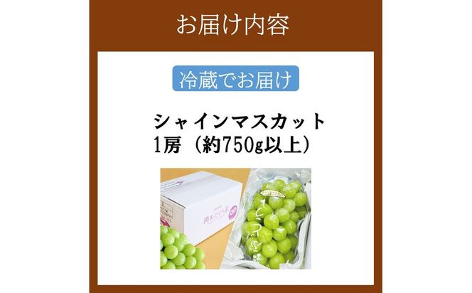 【A5-542】シャインマスカット 約750g