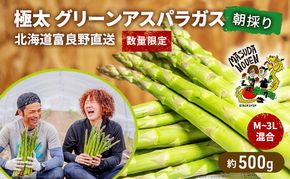 【数量限定・2026年4月初旬頃～発送】富良野 益田農園産 極太 グリーンアスパラガス ≪M～3L混合≫ 約500g アスパラ 北海道 富良野市 緑アスパラ 野菜 とれたて 朝採り 限定 数量限定 (益田農園)