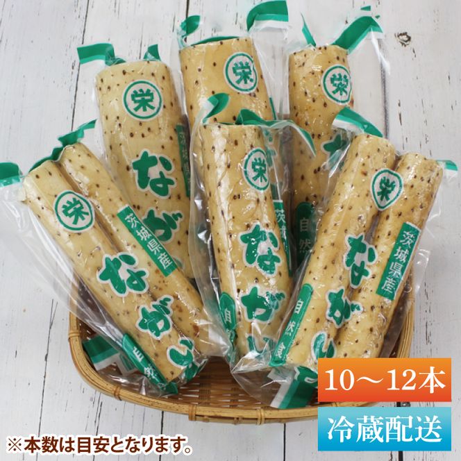 【2025年12月より順次発送】風間商店さんのながいも 約5kg(10～12本)｜ながいも いも 芋 長芋 野菜 やさい 人気 美容 健康 腸活 味噌汁 天ぷら 茨城県 行方市 行方市産(HO-2)