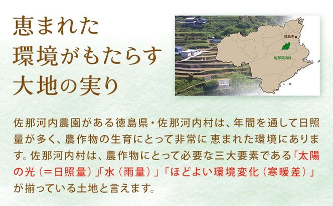 すだち発泡入浴料 5袋入り さくらサービス株式会社 《90日以内に出荷予定(土日祝除く)》| 入浴剤 炭酸 ご当地入浴剤 徳島県 佐那河内村 ---sanagouchi_sks_4_5k---