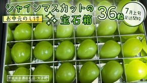 【 お中元 】『 シャインマスカット の宝石箱 (36粒) 』【2026年7月上旬発送開始】(茨城県共通返礼品：大子町) ぶどう 葡萄 マスカット フルーツ 果物 贈答用 ギフト 贈り物