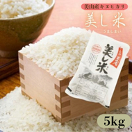 新米 令和8年産 美山産 キヌヒカリ 5kg 美し米 白米 精米 お米 コメ こめ こしひかり ご飯 ごはん 京都 米 南丹市 令和8年 5キロ 新米26