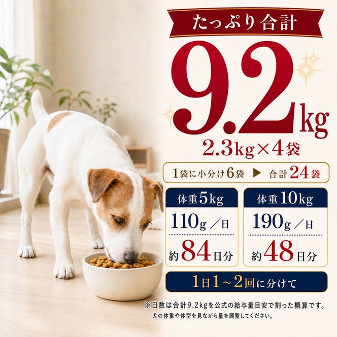 ビューティープロ ドッグ 歯の健康 1歳から 2.3kg ｘ4(ケース単位) ドッグフード