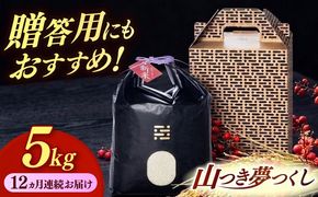 【全12回定期便】農薬 を使わずに育てた 山つき   夢つくし 5kg【築上町】 / itoshimacco / 株式会社やました[ABEX016]