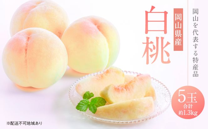 桃 2026年 先行予約 白桃 5玉 合計約1.3kg もも モモ 岡山県産 国産 フルーツ 果物 ギフト