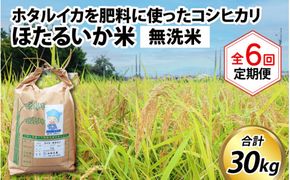 ほたるいか米（無洗米５kg）×6回 計30kg【6ヶ月定期便】