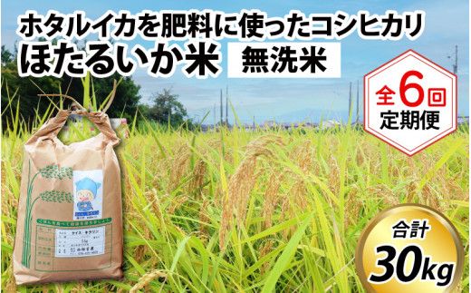 ほたるいか米（無洗米５kg）×6回 計30kg【6ヶ月定期便】