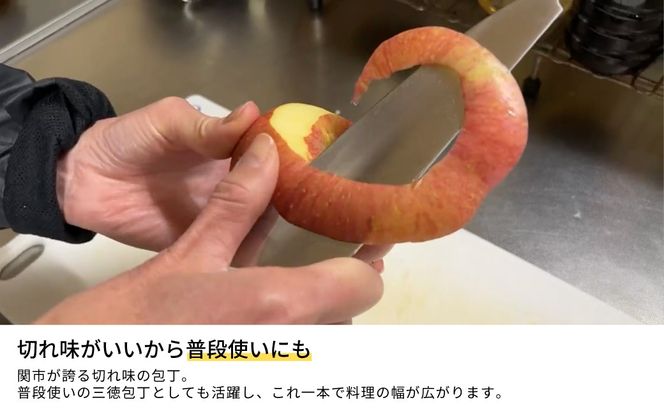 〈ザワつく！金曜日〉で話題！　H10-116 万能包丁 楽