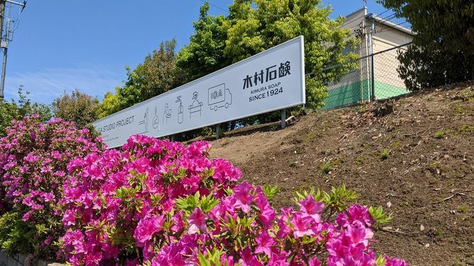 そこかし粉　12個セット 242161_AJ010