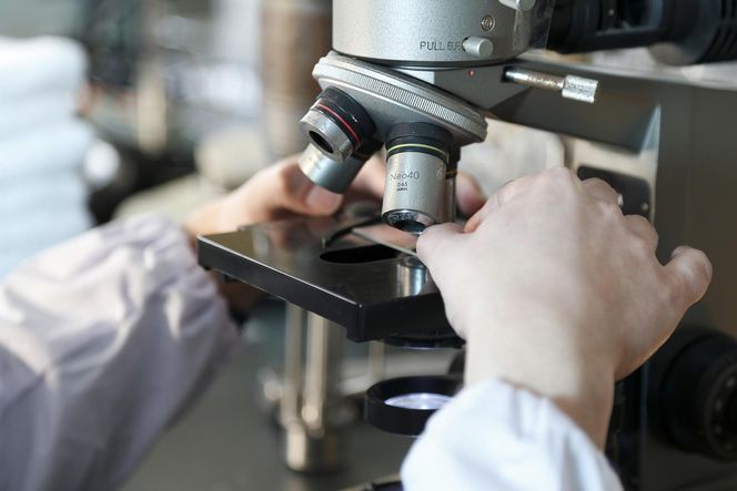 SOMALI　洗濯用液体石けん詰替（5L×2個） 242161_AJ011