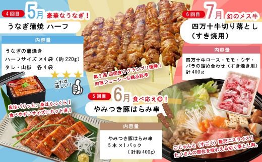 【 年末限定 】 8回 定期便 四万十 人気グルメ お楽しみ定期便 しまんと ふるさと定期便 10万円 Aコース 今だけ 鰻 牛肉 鶏肉 豚肉 パン 魚 タタキ 鰹 カツオ 文旦 柑橘 フルーツ ケーキ ごちそう 贅沢 豪華 高知 四万十市 25-614