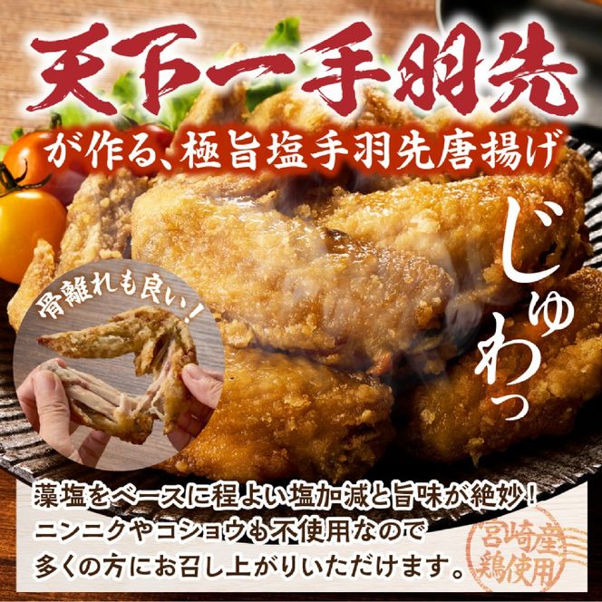 【手羽先サミット殿堂入り！】極旨塩 手羽先 唐揚げ 24本（国産 鶏肉 手羽 手羽先 唐揚げ 塩 味付き 限定 冷凍）