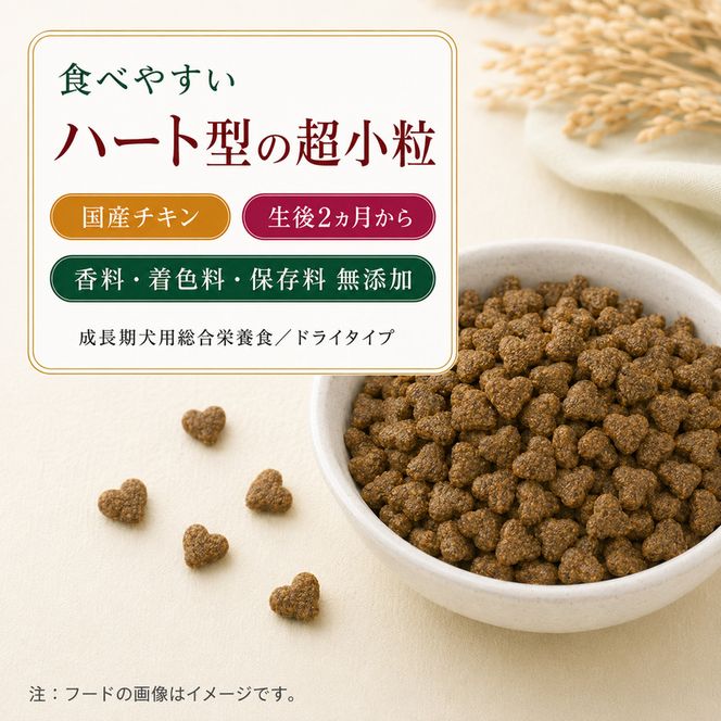 ビューティープロ ドッグ 子犬用 12ヵ月頃まで 2.5kg ｘ4(ケース単位) ドッグフード