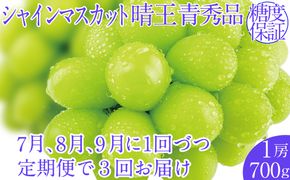 2026年予約受付中【3回定期便】シャインマスカット晴王1房 約700g 7月8月9月に出荷  人気 岡山県産 種無し 皮ごと食べる みずみずしい   おかやま 果物大国 ハレノフルーツ