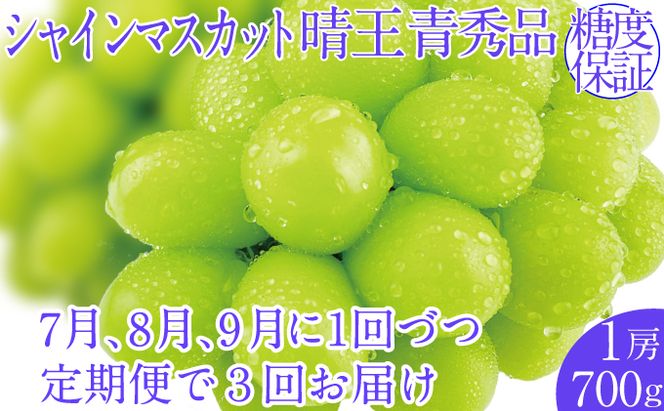 2026年予約受付中【3回定期便】シャインマスカット晴王1房 約700g 7月8月9月に出荷  人気 岡山県産 種無し 皮ごと食べる みずみずしい   おかやま 果物大国 ハレノフルーツ