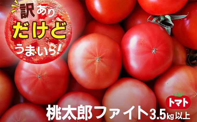 先行予約　高糖度　ももたろうトマト（春夏発送）　訳あり　3.5キロ以上　不揃い わけあり ワケアリ 農家直送 とまと tomato　NG00002
