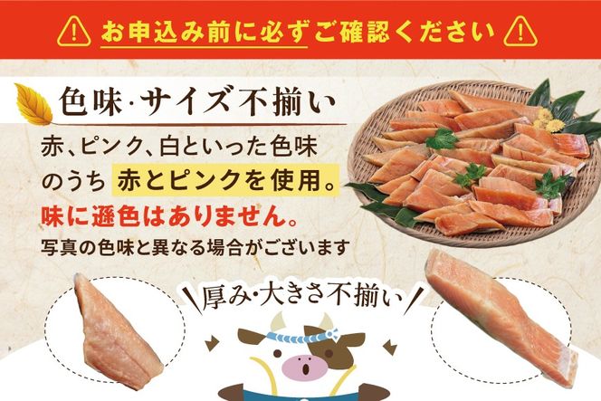 【訳あり】秋鮭ドンっ！無塩 秋鮭 切り身 1.5kg 【KN000PB06】