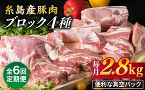 【全6回定期便】【 盛り合わせ 】 糸島産豚肉 ブロック 肉4品盛合せセット 約2.8kg 糸島市 / 糸島ミートデリ工房 [ACA279]