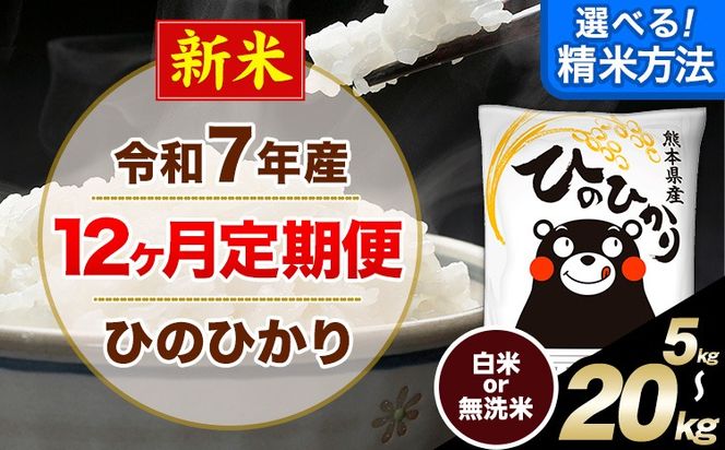 新米 令和7年産【12ヶ月定期便】選べる 精米方法 白米 無洗米 ひのひかり 5kg 10kg 15kg 20kg《お申込み翌月から出荷》｜人気米 熊本県産米 お米 生活応援米---hn7tei_150000_5kg_mo12_mna_h---