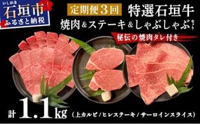 【2025年11月以降順次発送】希少な特選石垣牛をご家庭で！！全3回合計1.1kg　上カルビ、ヒレステーキ各400gずつ、特選しゃぶしゃぶ用300g & 石垣牛 MARU秘伝の焼肉タレ100ml×1本