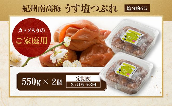 【定期便・3ヵ月毎 全3回】ご家庭用 紀州南高梅 うす塩 つぶれ 550g×2 ［YM15］ 303446_DX90032